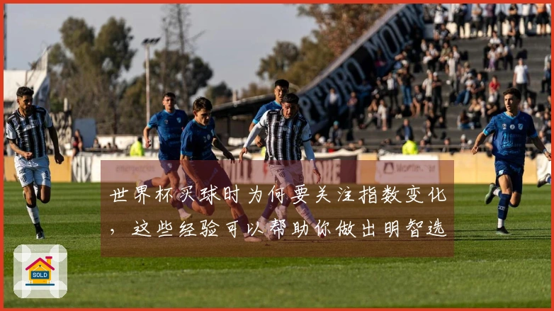 世界杯买球时为何要关注指数变化，这些经验可以帮助你做出明智选择