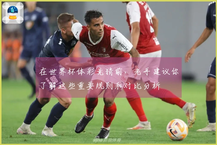 在世界杯体彩竞猜前，老手建议你了解这些重要规则和对比分析