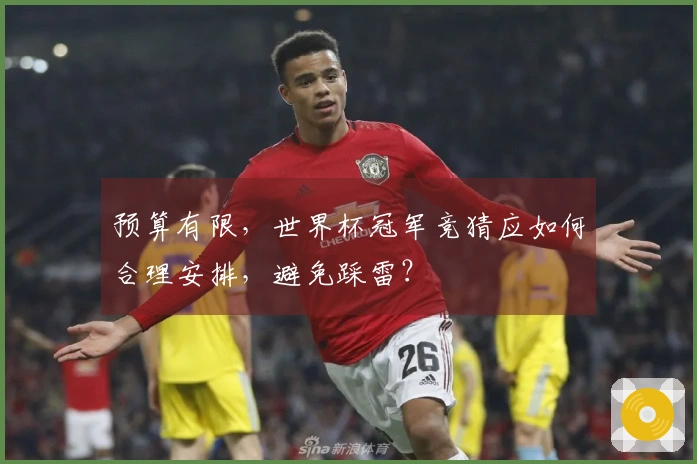 预算有限，世界杯冠军竞猜应如何合理安排，避免踩雷？